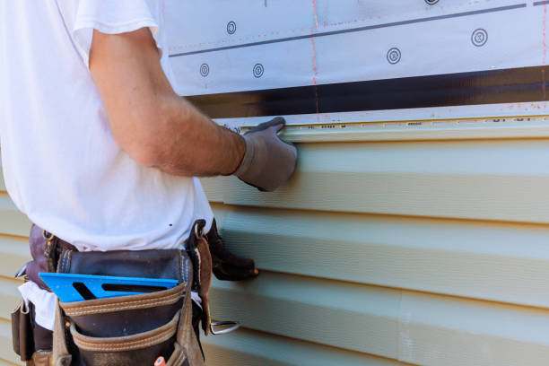 Affordable Emergency Siding Repair solutions in Lake City, MN