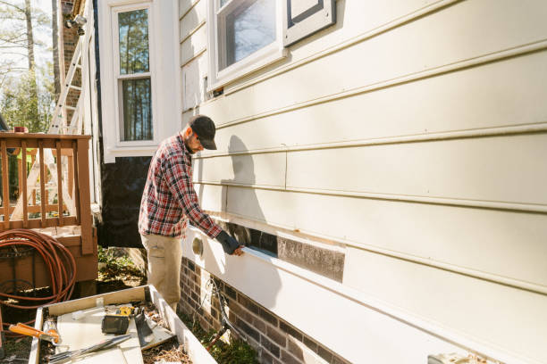 Top rated local Emergency Siding Repair specialists in Lake City, MN